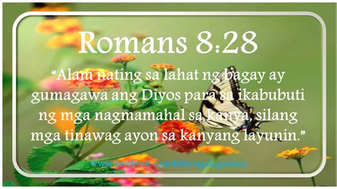romans 8 mbbtag|Roma 8:28.